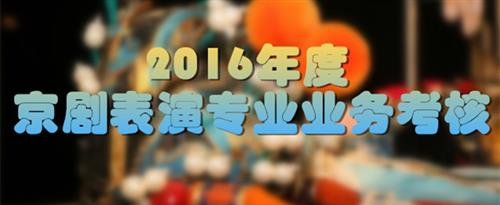 爆操骚国家京剧院2016年度京剧表演专业业务考...